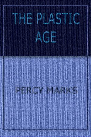 Book cover of The Plastic Age