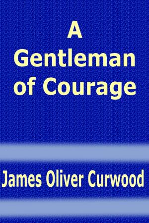 Cover of the book A Gentleman of Courage by Percy Marks