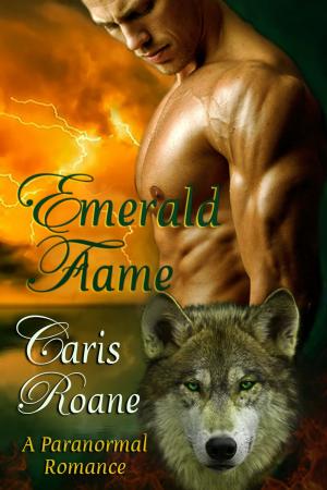 Cover of the book Emerald Flame by Christine Leov-Lealand