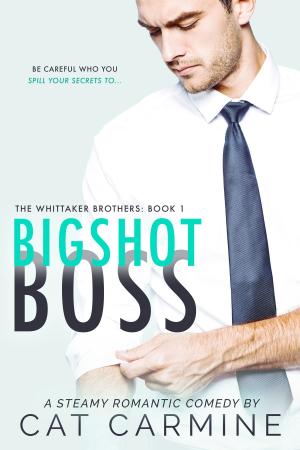 Cover of the book Bigshot Boss by Mona Schmitt