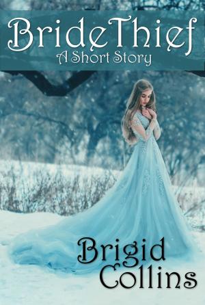 Book cover of BrideThief