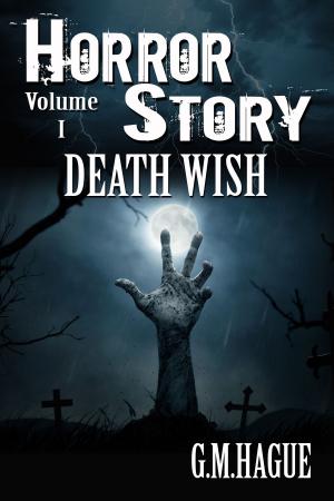 Cover of the book Death Wish by AM Kirkby
