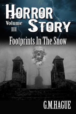 Book cover of Footprints In The Snow