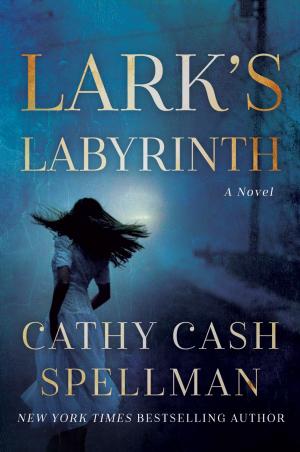 Cover of the book Lark's Labyrinth by Michel Bussi