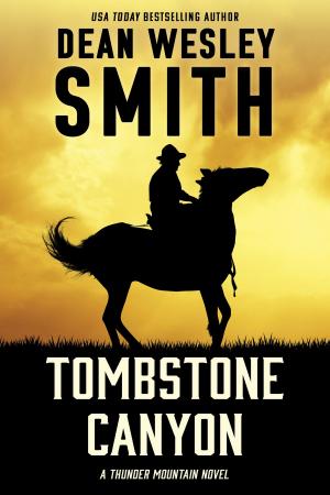 Cover of the book Tombstone Canyon by Fiction River, John Helfers, Kristine Kathryn Rusch, Dean Wesley Smith, Phaedra Weldon, Cat Rambo, Annie Reed, Thomas K. Carpenter, Angela Penrose, Dayle A. Dermatis, Sandra M. Odell, Kelly Cairo, Christy Fifield, Rebecca M. Senese, Lisa Silverthorne, Kelly Washington, Thea Hutcheson