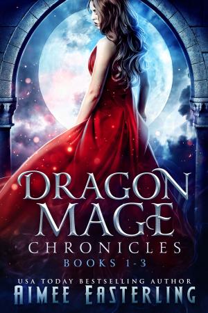 Book cover of Dragon Mage Chronicles