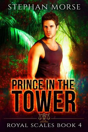 Cover of Prince in the Tower