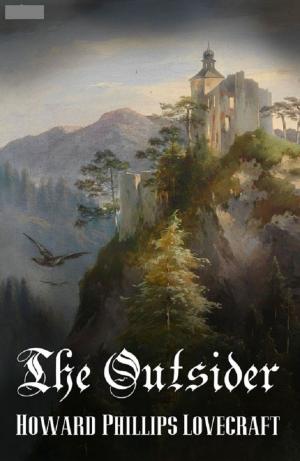 Cover of the book The Outsider by Erin Hayes