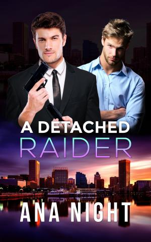Cover of the book A Detached Raider by Martin Thompson