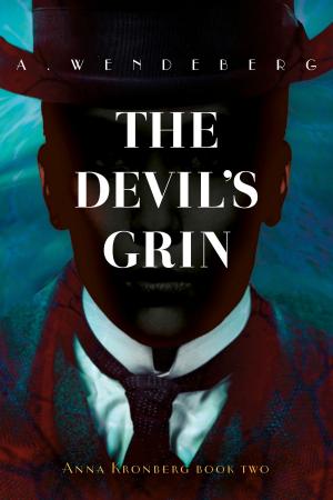 Cover of the book The Devil's Grin by Bryan Porter