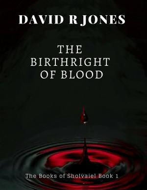 Cover of the book The Birthright of Blood by Joshua Krook