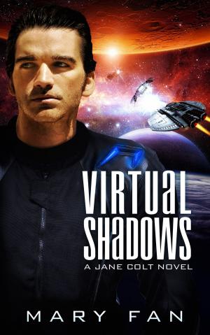 Cover of the book Virtual Shadows by Michael Meyerhofer