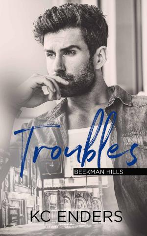 Cover of the book Troubles by Lauren K. McKellar