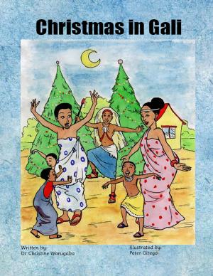 Book cover of Christmas in Gali