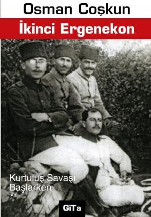 Cover of the book İkinci Ergenekon by Desiree Hoeke