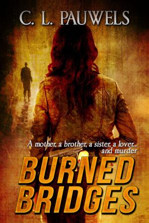 Cover of the book Burned Bridges by Caroline Doherty de Novoa