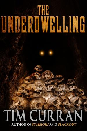 Cover of the book The Underdwelling by Richard Lee Byers