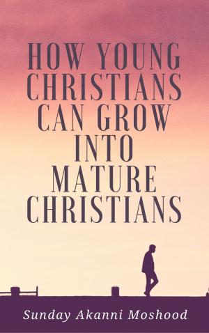 Cover of the book How Young Christians Can Grow Into Mature Christians by Njoku Ifeanyichukwu Dieudonne