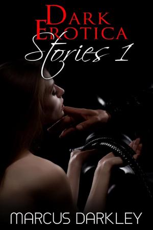 Book cover of Dark Erotica Stories 1