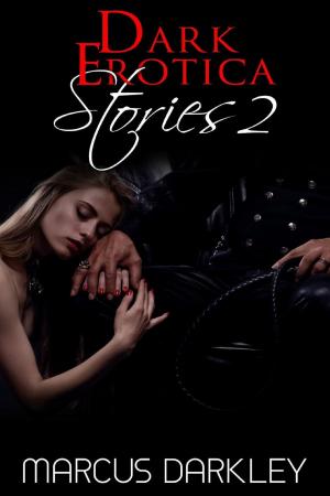 Cover of Dark Erotica Stories 2