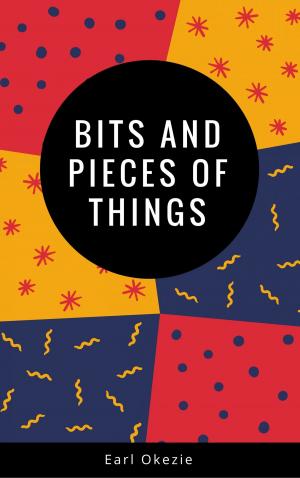 Cover of the book Bits and Pieces of Things by Gbenga A. Babatola