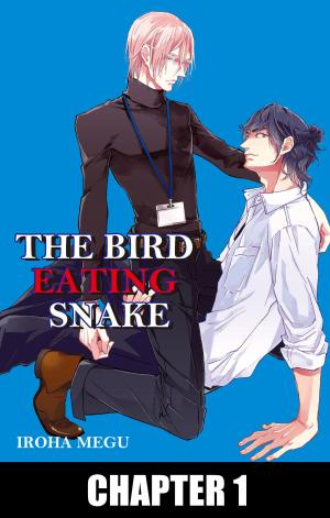 Cover of the book THE BIRD EATING SNAKE (Yaoi Manga) by Dick Hunter