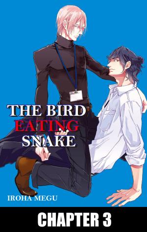 Cover of THE BIRD EATING SNAKE (Yaoi Manga)