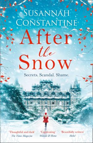 bigCover of the book After the Snow by 
