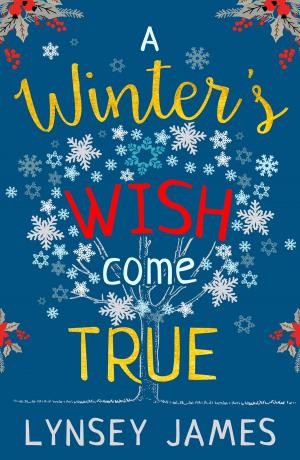 Cover of the book A Winter’s Wish Come True by Gü