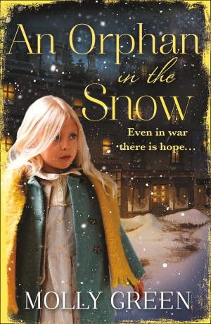 Cover of the book An Orphan in the Snow by Merlin Holland, Oscar Wilde