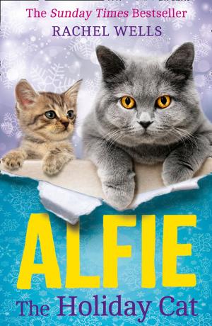 Book cover of Alfie the Holiday Cat