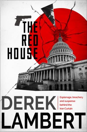 Cover of the book The Red House by Dan Gutman
