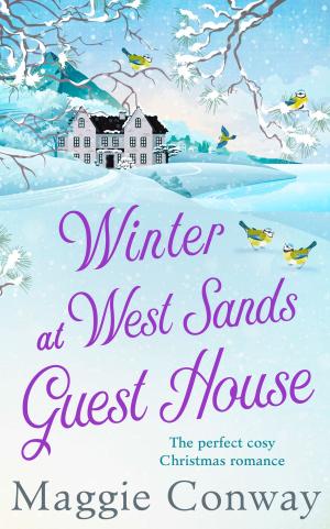 Cover of the book Winter at West Sands Guest House by Michelle Scott