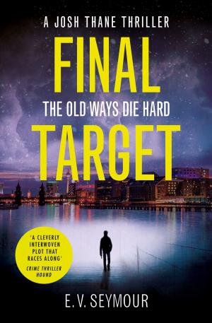 Cover of the book Final Target (Josh Thane Thriller, Book 2) by Vivian Conroy