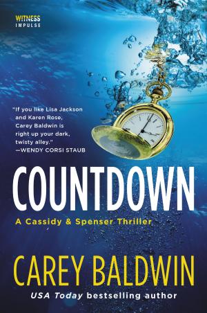 Cover of the book Countdown by Susan McBride