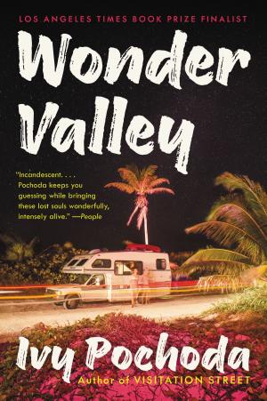 Book cover of Wonder Valley