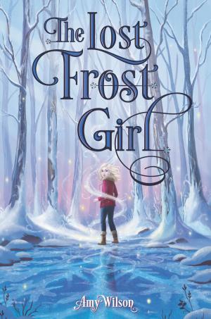 Cover of the book The Lost Frost Girl by N. D. Wilson