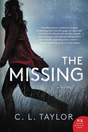 Cover of the book The Missing by Andrew Gross
