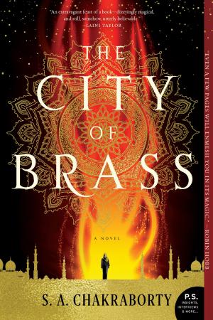 Cover of the book The City of Brass by Richard Kadrey