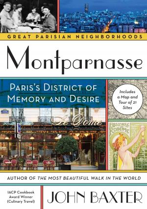 Book cover of Montparnasse