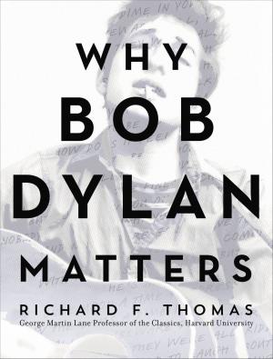 Cover of Why Bob Dylan Matters