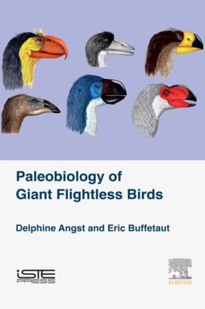 Cover of the book Palaeobiology of Giant Flightless Birds by Mike Kuniavsky, Andrea Moed, Elizabeth Goodman, Ph.D., School of Information, University of California Berkeley