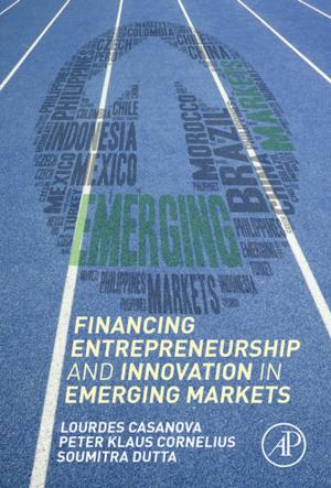Cover of the book Financing Entrepreneurship and Innovation in Emerging Markets by J. Grievink, J. van Schijndel