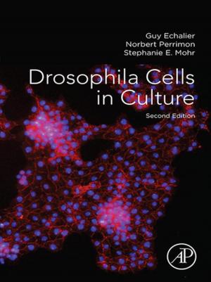 Cover of the book Drosophila Cells in Culture by J. C. Nenot, J. W. Stather