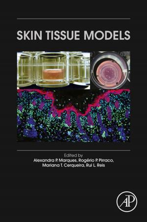 Cover of the book Skin Tissue Models by Andrei A. Kulikovsky