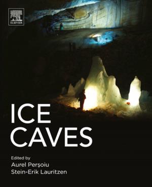 Cover of the book Ice Caves by Akihisa Mori