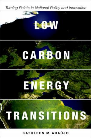bigCover of the book Low Carbon Energy Transitions by 