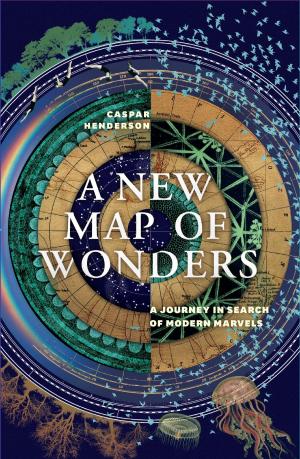 Cover of the book A New Map of Wonders by Jacques Derrida