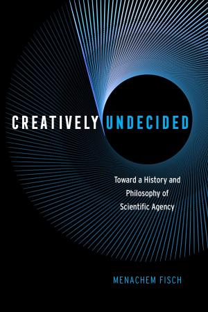 Cover of the book Creatively Undecided by James B. Jacobs