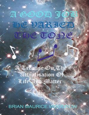 Cover of the book A Good Job He Varied the Tone - A Treatise on the Actualisation of Life and Matter by Tony Kelbrat